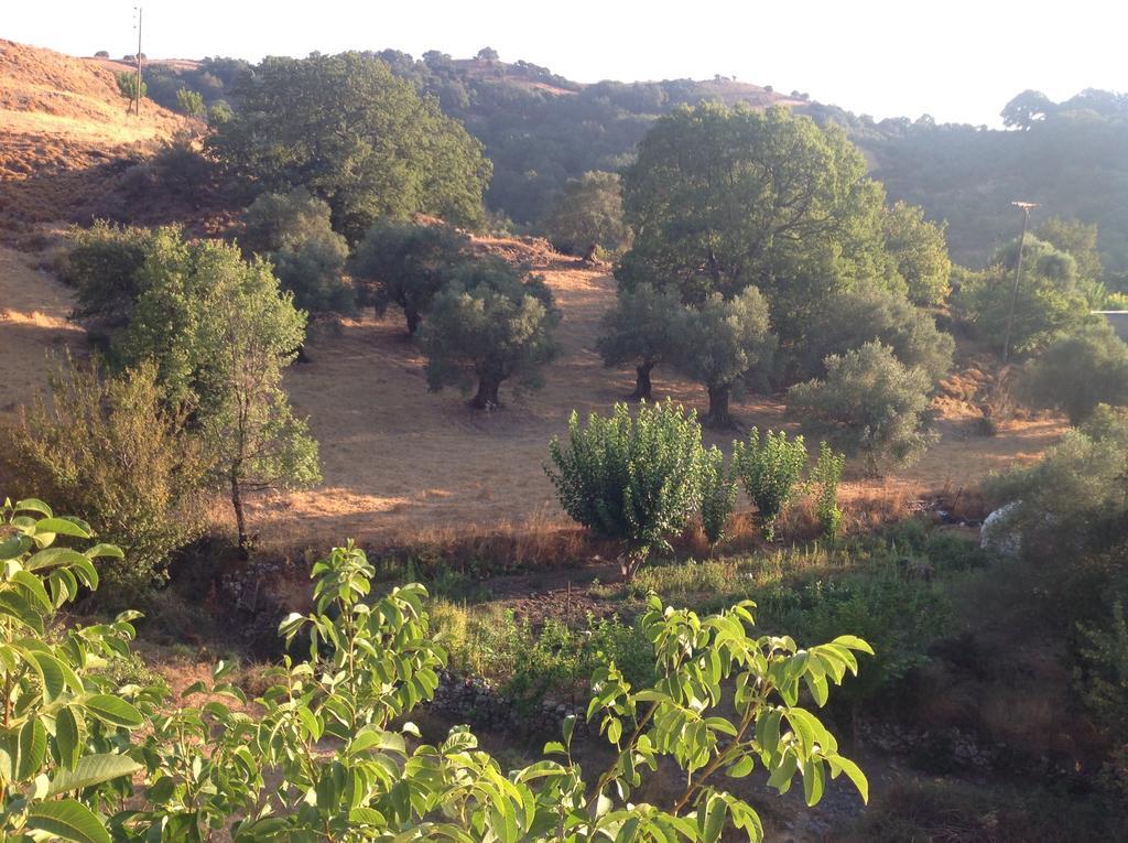 Marika'S House Villa Alonai Dış mekan fotoğraf